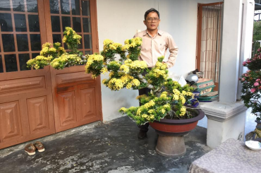 Kinh nghiệm nuôi Trang bonsai