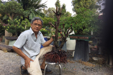 Anh Đỗ Bình chia sẻ kinh nghiệm chăm sóc cây trang