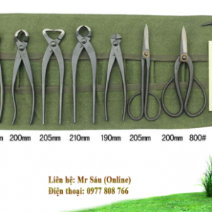 Bộ dụng cụ cắt tỉa cây cảnh giá rẻ