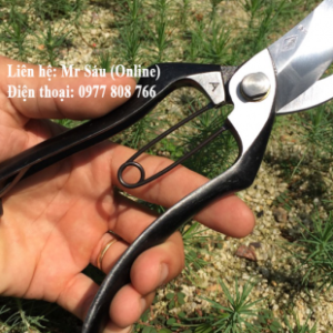 Kéo cắt cành cap cấp JAPAN T50