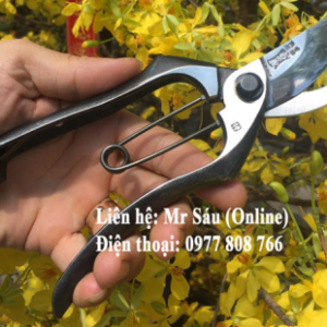 Kéo cắt cành Onoyoshi nội địa Nhật Bản A