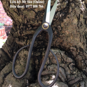Kéo tỉa giá rẻ