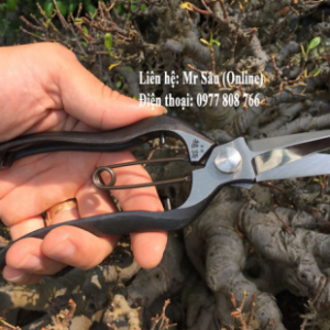 Kéo tỉa B4 Nhật Bản