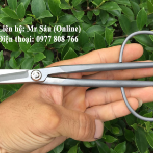 Kéo tỉa cây cảnh thép trắng