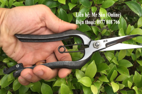 470x310_tia-nu-onosi-5 Kéo tỉa cây cảnh, Hàng thủ công nội địa Nhật Bản