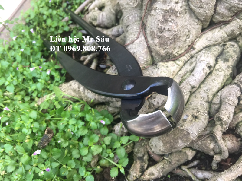 cap-tron-kaneshin-300_11