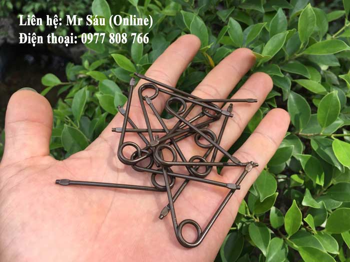 lo-xo-keo-cat-canh-2